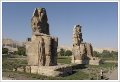The known Colossi of Memnon, Luxor West Bank