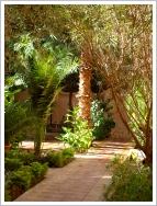 Garden, Luxor West Bank