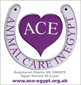 ACE - Logo