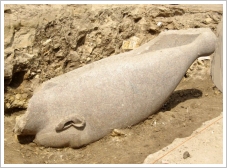 ©SCA - Colossal Head of Amenhotep III