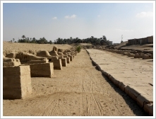 New Road of Pharao Nectanebo I