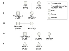 ©JAMA - Genealogy of Tutankhamun