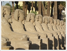Sphinx Avenue at the Luxor Temple, Luxor East Bank