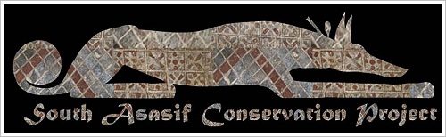 South Asasif Conservation Project - Logo