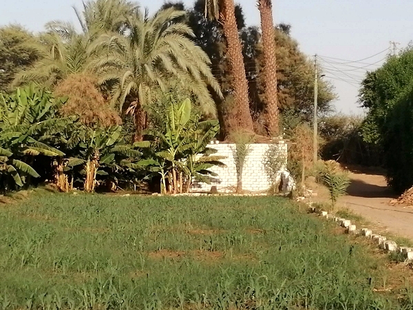 Building Land for Sale on Luxor West Bank