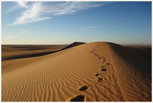 Dunes at the Dakhla Oasis